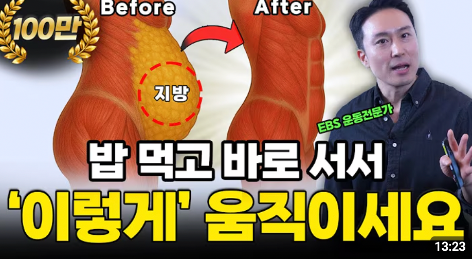 걷기보다 강력한 식후 7분 루틴, 단 2주면 뱃살이 ‘쏙’ 빠집니다 [혈당관리O 층간소음X 관절부담X