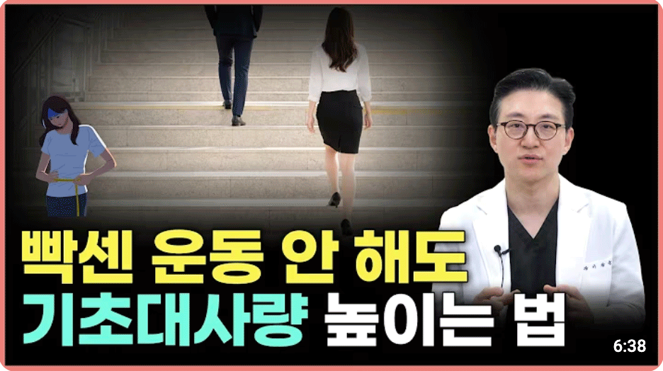 과학적으로 운동없이 기초대사량 높이는 3가지 방법! 살이 안 찌는 몸으로 만드는 방법