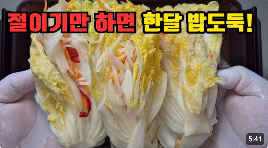 풀 안 쑤고 절이기만 했는데… 한 달 내내 먹는 엄마표 백김치 담그는법
