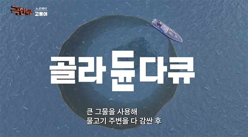 사람이 없어진 대규모 고등어 공장, 로봇이 1초 만에 가시도 다 발라버리니 포장까지 30분 밖에 안 걸린다